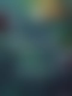 anfibios-by-sound-river-records