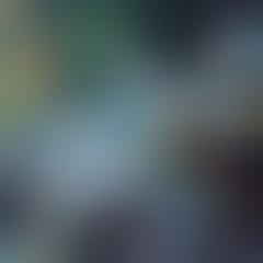 anfibios-by-sound-river-records