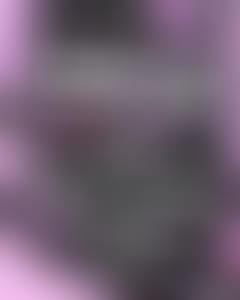 praqqa-presenta-true-love