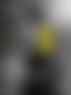 lee-foss-repopulate-mars-usa-20-years-of-hardpop