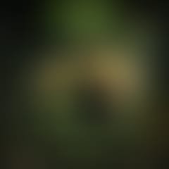 echo-sounds-presenta-aniversario-ii