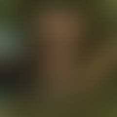 jungle-fever-by-techno-and-chill