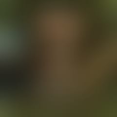 jungle-fever-by-techno-and-chill