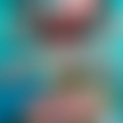 feria-san-juan-tonaltepec