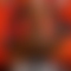 sir-speedy-en-kaos14feb