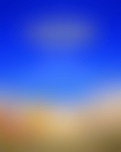 latinos-faunna-rooftop