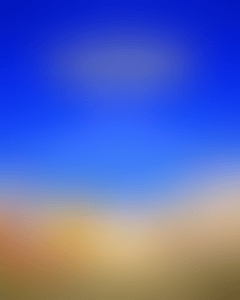 latinos-faunna-rooftop