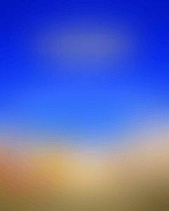 latinos-faunna-rooftop