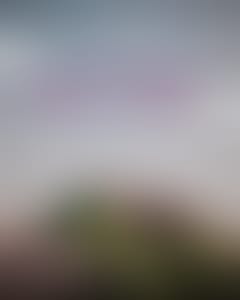 trpk-x-cknd-presentan-love-dance