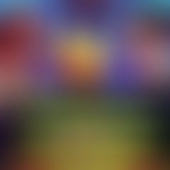 bodega-club-f2f-version