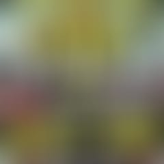 traphouse-x-lost-26-oct