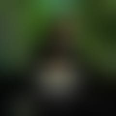 mijangos-en-luciernaga-gratis-exclusivo-para-hookians