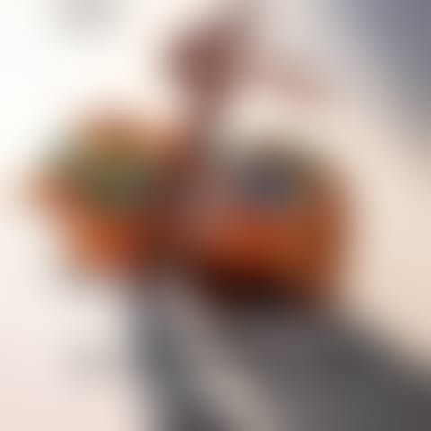 o133e646lgvcadehqemwnubfsyqfpmljv4oy5nwlcnf3zxdbpng