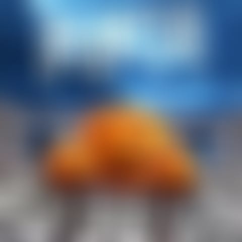 o152e538hqjltcd6c8njnokbh2zzmvwnso321moc40z0cnirpng