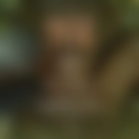 o308e620of07crf4goh6i3qlxwqxen5drohs6vtna4xvvgxjpng