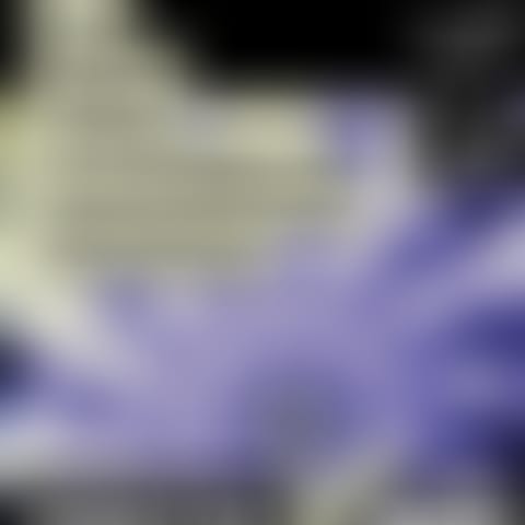 o384e883mieug9jmyg1vsy3a7qwjtkimdy2h9m8tmic8ujs5png