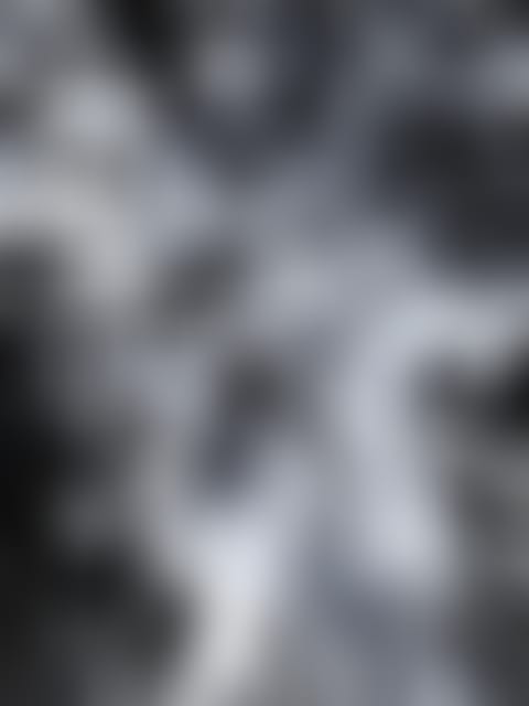 organizersbrandingbg-bnpw8jvun3kc4cevdhh6vxwnflwo9klfvf6h4akcjpiwvss08fjpg