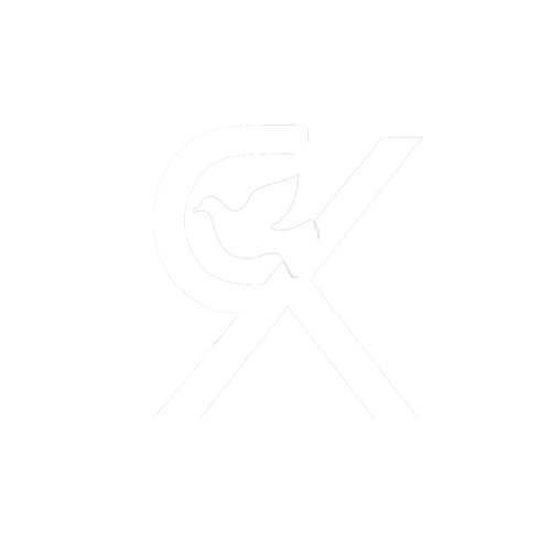 org_logo_sebastian-suarez-quintero